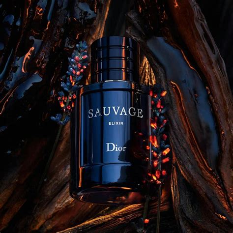 sauvage elixir dior perfume|sauvage elixir dior best price.